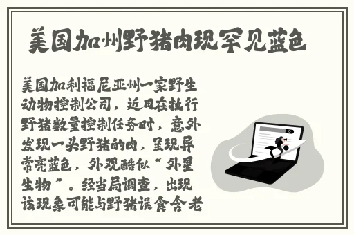 b站为什么禁止转播
