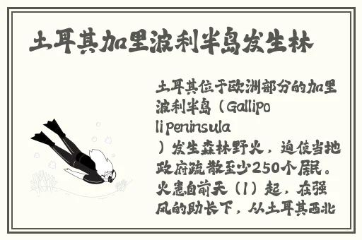 桶千仞雪的模拟器软件
